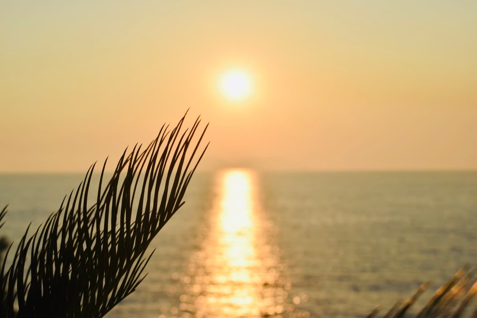 Aquamarine Apartment 2